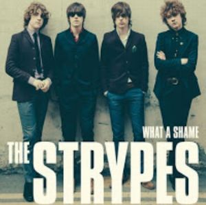 THE STRYPES LP レコード ストライプス - 洋楽