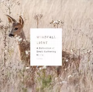 V.A. / WINDFALL LIGHT / ウィンドフォール・ライト