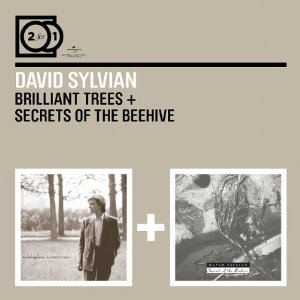 DAVID SYLVIAN / デヴィッド・シルヴィアン / 2 For 1: BRILLIANT TREES / SECRETS OF THE BEEHIVE (2CD)