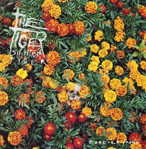 TIGER! SHIT! TIGER! TIGER! / タイガー! シット! タイガー! タイガー! / FOREVER YOUNG (LP)