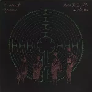 COCOANUT GROOVE / HOW TO  BUILD A MAZE (LP)