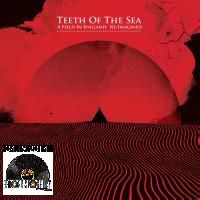 TEETH OF THE SEA / FIELD IN ENGLAND - REIMAGINED (LP)