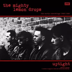 MIGHTY LEMON DROPS / マイティ・レモン・ドロップス商品一覧｜OLD