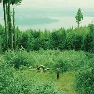 THEN THICKENS / ゼン・シックンズ / DEATH CAP AT ANGLEZARKE / デス・キャップ・アット・アングルザーク