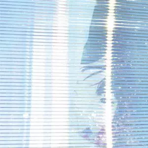 BILINDA BUTCHERS / ビリンダ・ブッチャーズ商品一覧｜ディスク