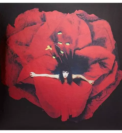 ADORE (LP)/SMASHING PUMPKINS/スマッシング・パンプキンズ/「ROCK NEW