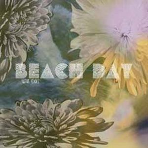 BEACH DAY / ビーチ・デイ / NATIVE ECHOES (LP)