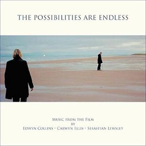 EDWYN COLLINS, CARWYN ELLIS & SEBASTIAN LEWSLEY / POSSIBILITIES ARE ENDLESS (LP+CD)