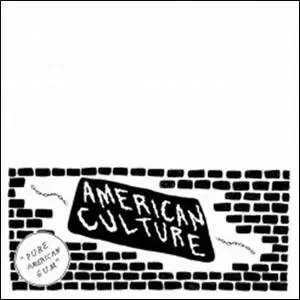 AMERICAN CULTURE / アメリカン・カルチャー / PURE AMERICAN GUM (LP)