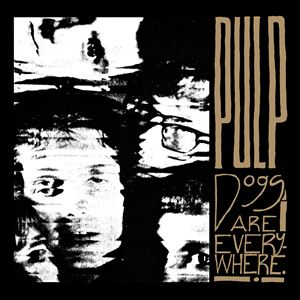 PULP / パルプ / DOGS ARE EVERYWHERE [CLEAR 12"]