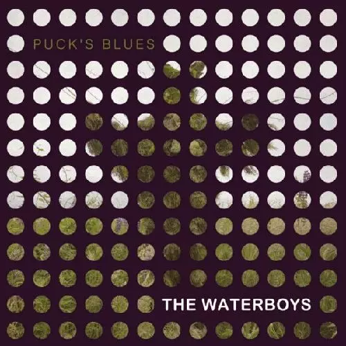 WATERBOYS / ウォーターボーイズ / PUCK'S BLUES [10"]