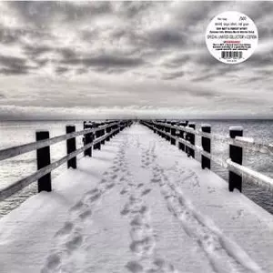 BEN WATT & ROBERT WYATT  / SUMMER INTO WINTER / NORTH MARINE DRIVE (LP) (LIMITED)
