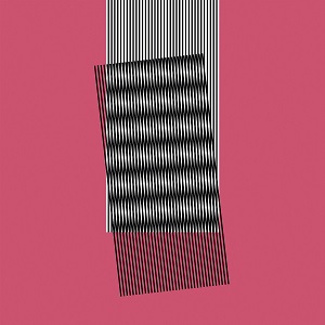 HOT CHIP / ホット・チップ / WHY MAKE SENSE? (DELUXE EDITION) (2CD)