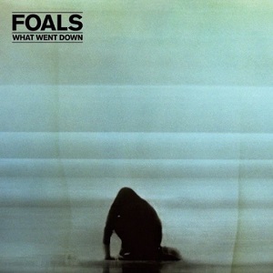 FOALS / フォールズ / WHAT WENT DOWN 