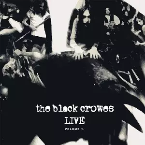 BLACK CROWES / ブラック・クロウズ / LIVE - VOL.1 (2LP)