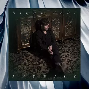 NIGHT BEDS / IVYWILD (2LP)