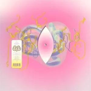 BJORK / ビョーク / LIONSONG (KAREOKJEIJD VERSION BY MICA LEVI) (12")