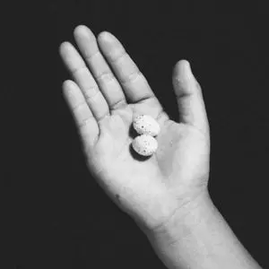 0 (ZERO) / UMARETE WA MITA KEREDO / ウマレテ・ハ・ミタ・ケレド