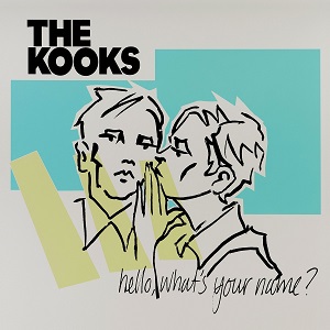 KOOKS / クークス / HELLO, WHAT'S YOUR NAME? (2LP)