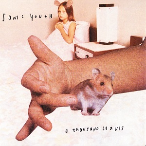 SONIC YOUTH / ソニック・ユース / A THOUSAND LEAVES (2LP/180G)