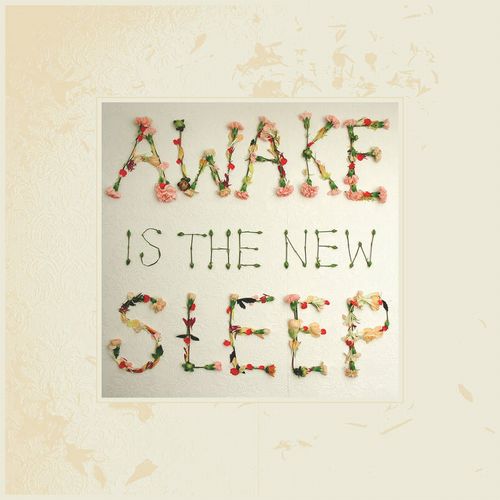 BEN LEE / ベン・リー / AWAKE IS THE NEW SLEEP [180G 2LP]