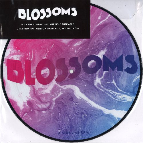 BLOSSOMS(UK ROCK) / ブロッサムズ / UNPLUGGED AT FESTIVAL NO.6 [PICTURE DISC 10"]
