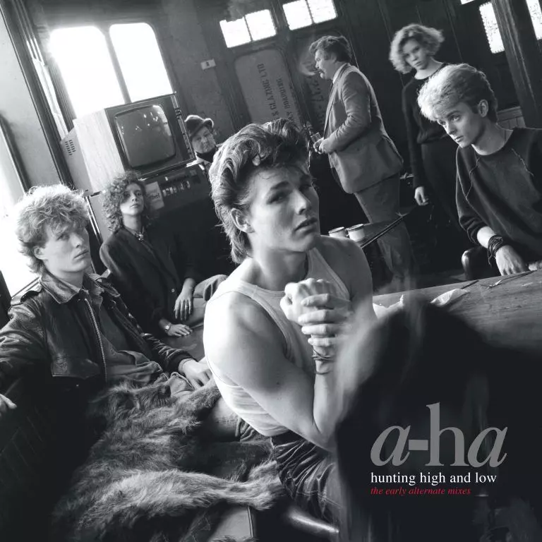 HUNTING HIGH AND LOW: THE EARLY ALTERNATE MIXES [LP]/a-ha/アーハ