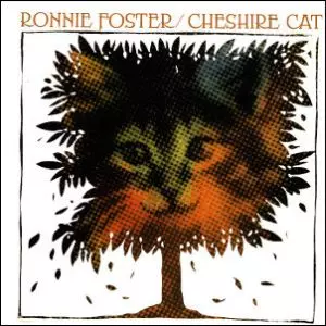 ★ＵＳオリジナル盤★レアグルーヴ！『CHESHIRE CAT』ロニー・フォスター ☆USオリジナル盤☆レアグルーヴ！『CHESHIRE CAT』ロニー