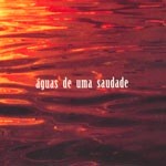 RODRIGO DELAGE / ホドリゴ・デラージェ / AGUAS DE UMA SAUDADE VIOLA CAIPIRA