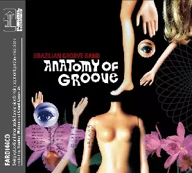 BRAZILIAN GROOVE BAND / ブラジリアン・グルーヴ・バンド / ANATOMY OF GROOVE
