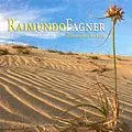 RAIMUNDO FAGNER / ハイムンド・ファギネル / DONOS DO BRASIL