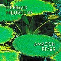 HENDRIK MEURKENS / ヘンドリク・ミュールケンス / AMAZON RIVER