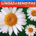 ELDER COSTA / エルデール・コスタ / LINDAS E BENDITAS