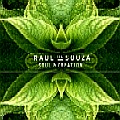 RAUL DE SOUZA (RAULZINHO) / ハウル・ヂ・ソウザ / SOUL & CREATION