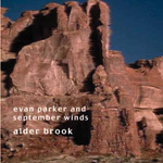 EVAN PARKER / エヴァン・パーカー / ALDER BROOK