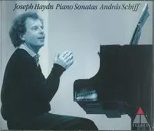 ANDRAS SCHIFF / アンドラーシュ・シフ / HAYDN:PFSON/FANTASIA