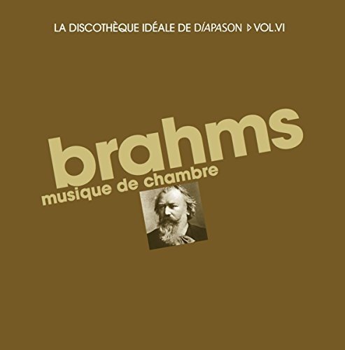 VARIOUS ARTISTS (CLASSIC) / オムニバス (CLASSIC) / BRAHMS: MUSIQUE DE CHAMBRE (CHAMBER MUSIC)