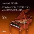 GUL'AS ,PETER / グルーアス (ペテル) / RIGLER:SONATA FOR FORTEPIANO & HARPSICHORD