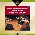 CHUNG TRIO / チョン・トリオ / ドヴォルザーク:ピアノ三重奏曲集