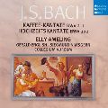 ELLY AMELING / エリー・アーメリング / J.S.BACH: KANTATEN BWV211 & 202 / J.S.バッハ:コーヒー・カンタータ&結婚カンタータ
