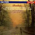 JAN PANENKA / ヤン・パネンカ / BRAHMS: PIANO QUINTET OP.34 & PIANO QUARTET NO.3 OP.60 / ブラームス:ピアノ五重奏曲|ピアノ四重奏曲第3番