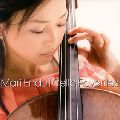 ENDO MARI / 遠藤真理 / CELLO FAVARITES / サリーガーデン~チェロ・フェイヴァリッツ