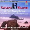 ANDREW DAVIS / アンドルー・デイヴィス / VAUGHAN WILLIAMS: A SEA SYMPHONY / ヴォーン・ウィリアムズ:海の交響曲(交響曲第1番)《イギリス音楽の楽しみ》