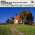 ZDENEK KOSLER / ズデニェク・コシュラー / DVORAK: SYMPHONY NO.9 "FROM THE NEW WORLD" / ドヴォルザーク:交響曲第9番「新世界より」《ザ・クラシック 1200-(1)》