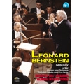 LEONARD BERNSTEIN / レナード・バーンスタイン / ドビュッシー: 管弦楽作品集