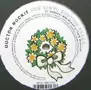 DOCTOR ROCKIT / ドクター・ロキット / Vinyl Resting Place