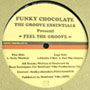 GROOVE ESSENTIALS / FEEL THE GROOVE