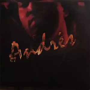 ANDRES (LP)/ANDRES/アンドレス｜CLUB/DANCE｜ディスクユニオン