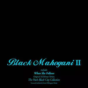 BLACK MAHOGANI 2/MOODYMANN/ムーディーマン/DETROIT HOUSE 12
