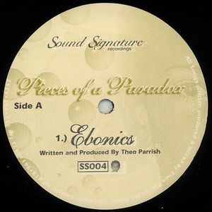 THEO PARRISH / セオ・パリッシュ / PIECES OF PARADOX 